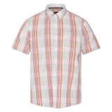 Signal - Signal - Teis check slub shirt | K/Æ Skjorte Sun Baked