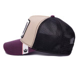 Goorin Bros. - Goorin Bros. - MV Panther cap | Kasket Purple